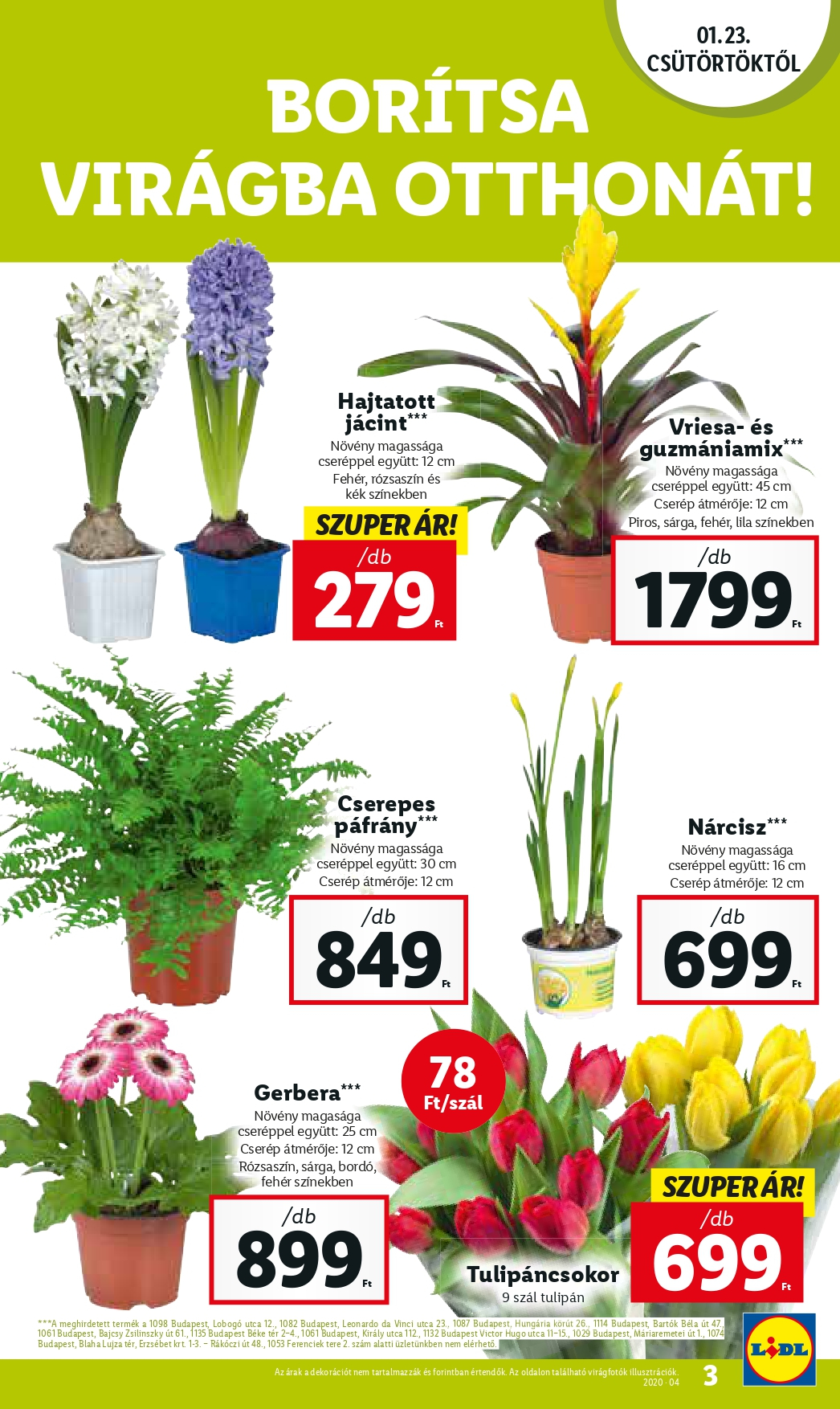 lidl0123_page-0003
