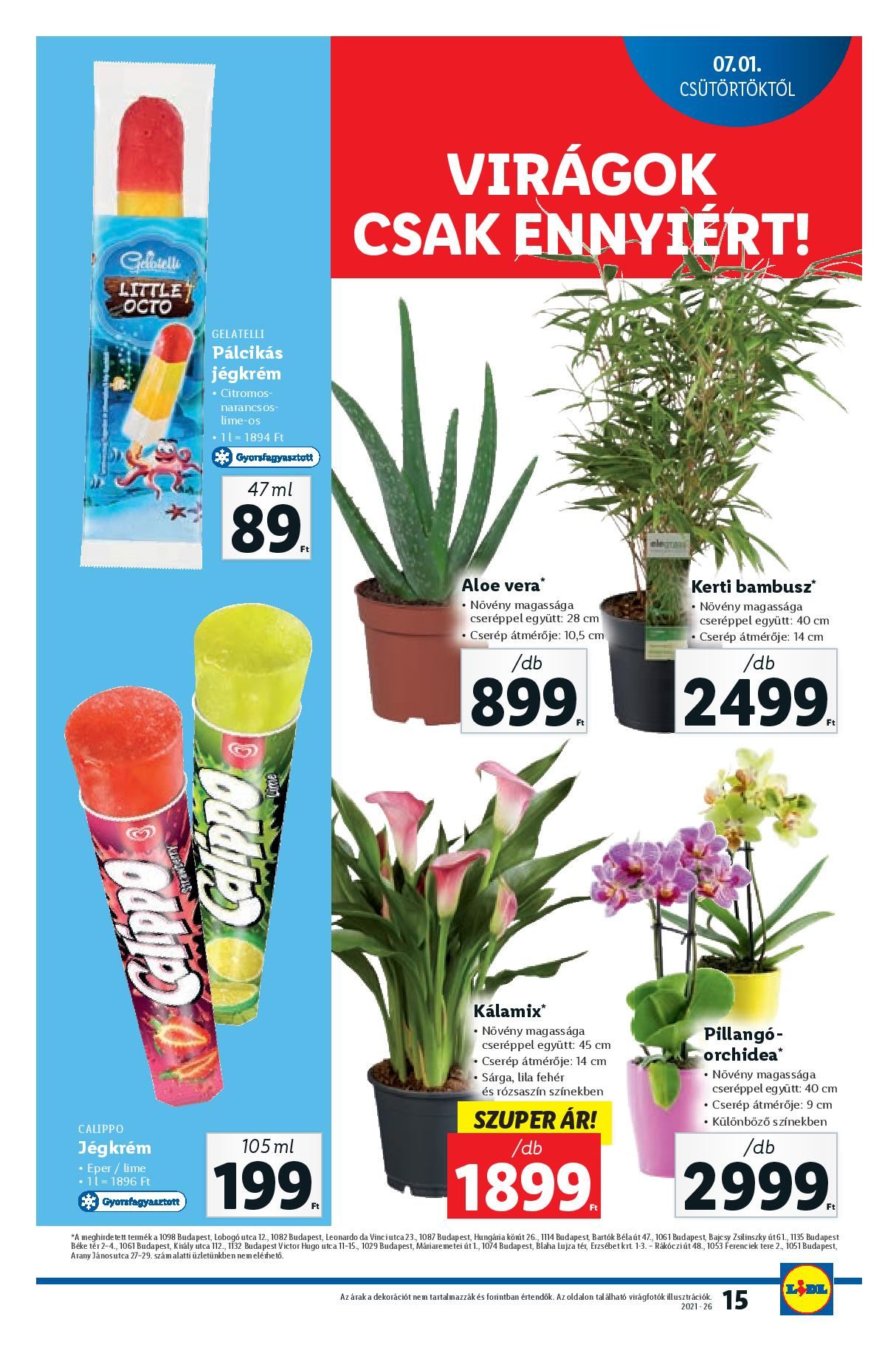 lidl-arakon-page-015