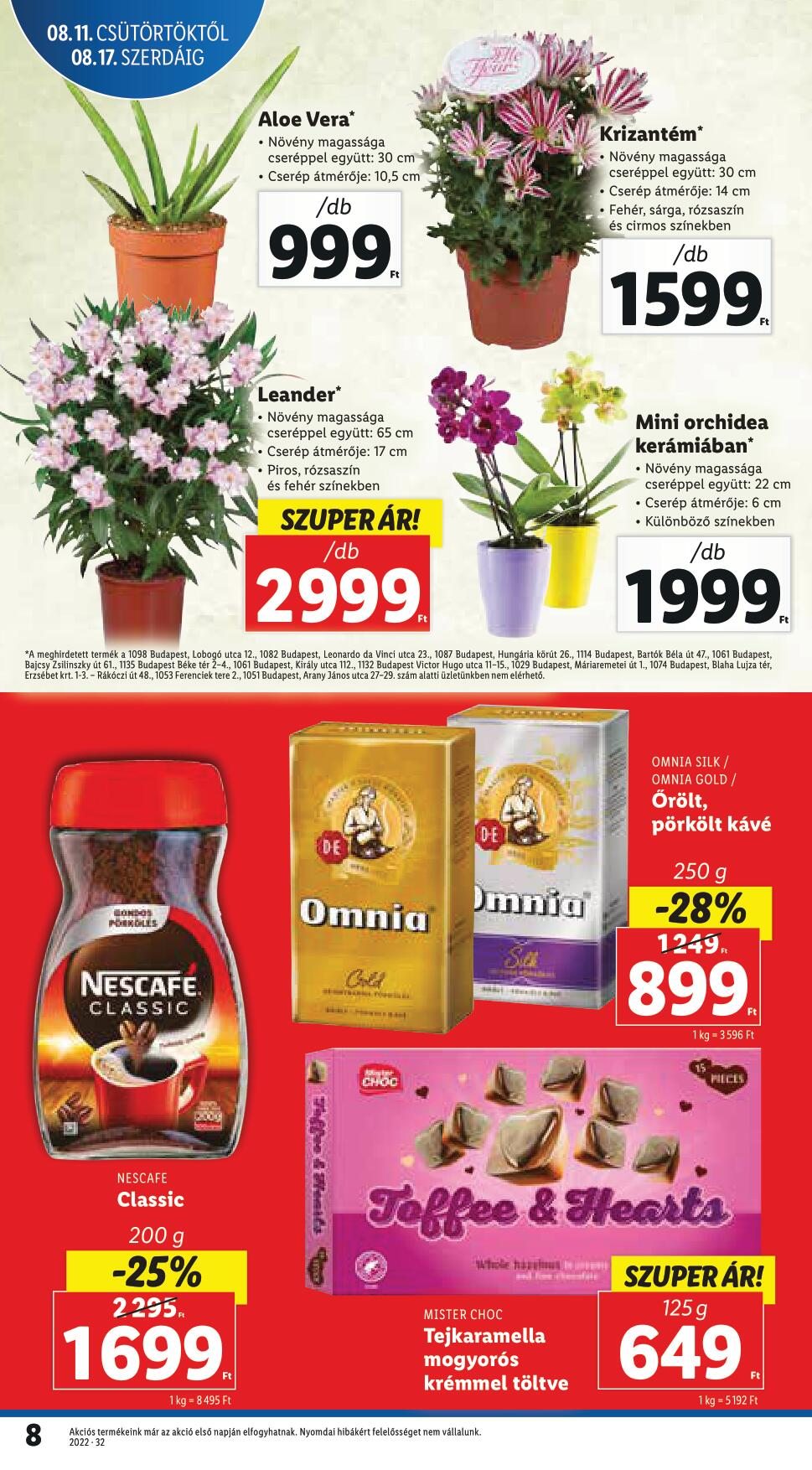081117lidl-8