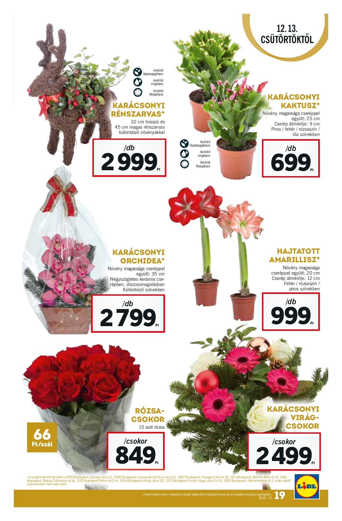 lidldec13-019