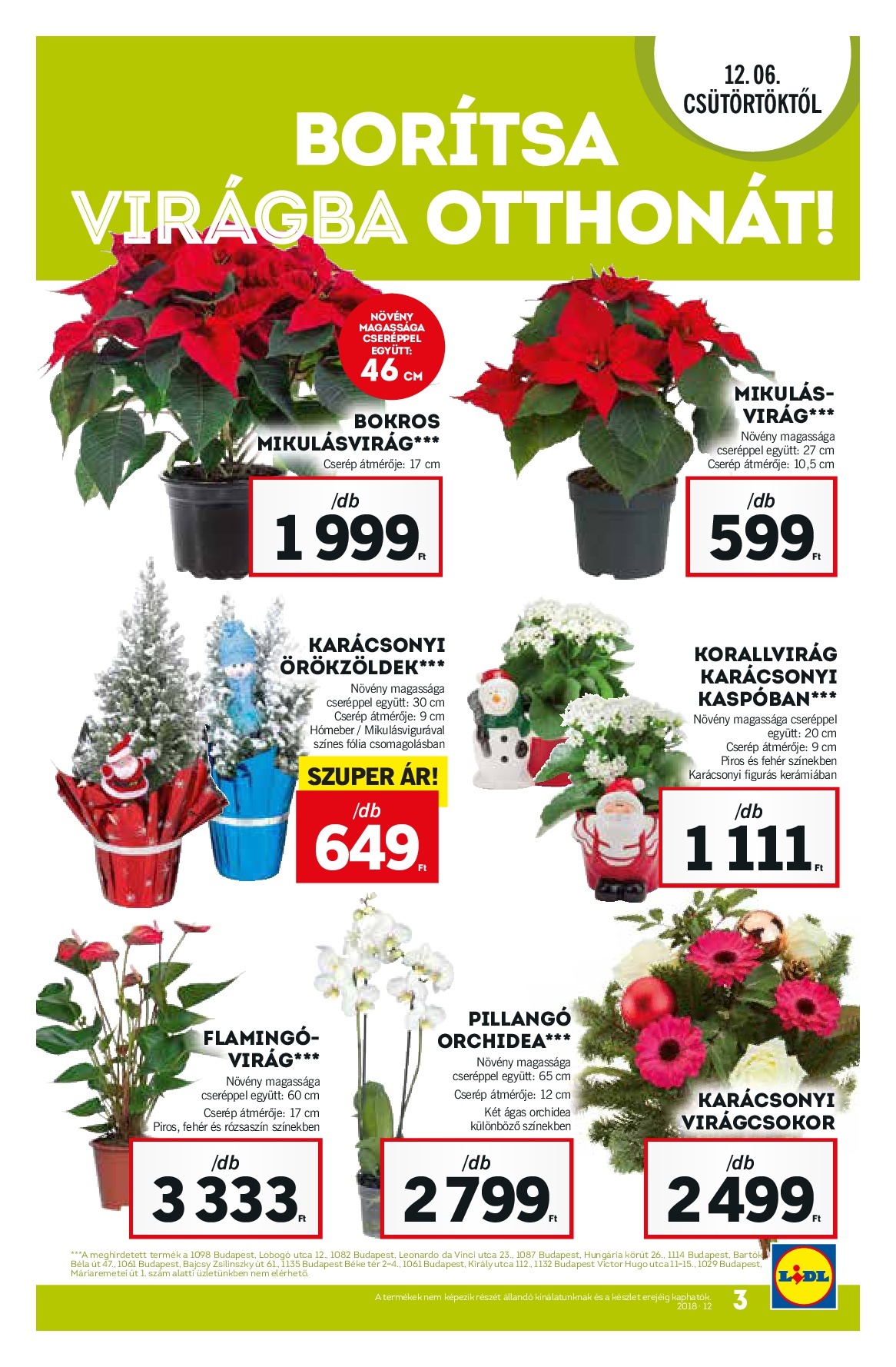 lidldec6-003