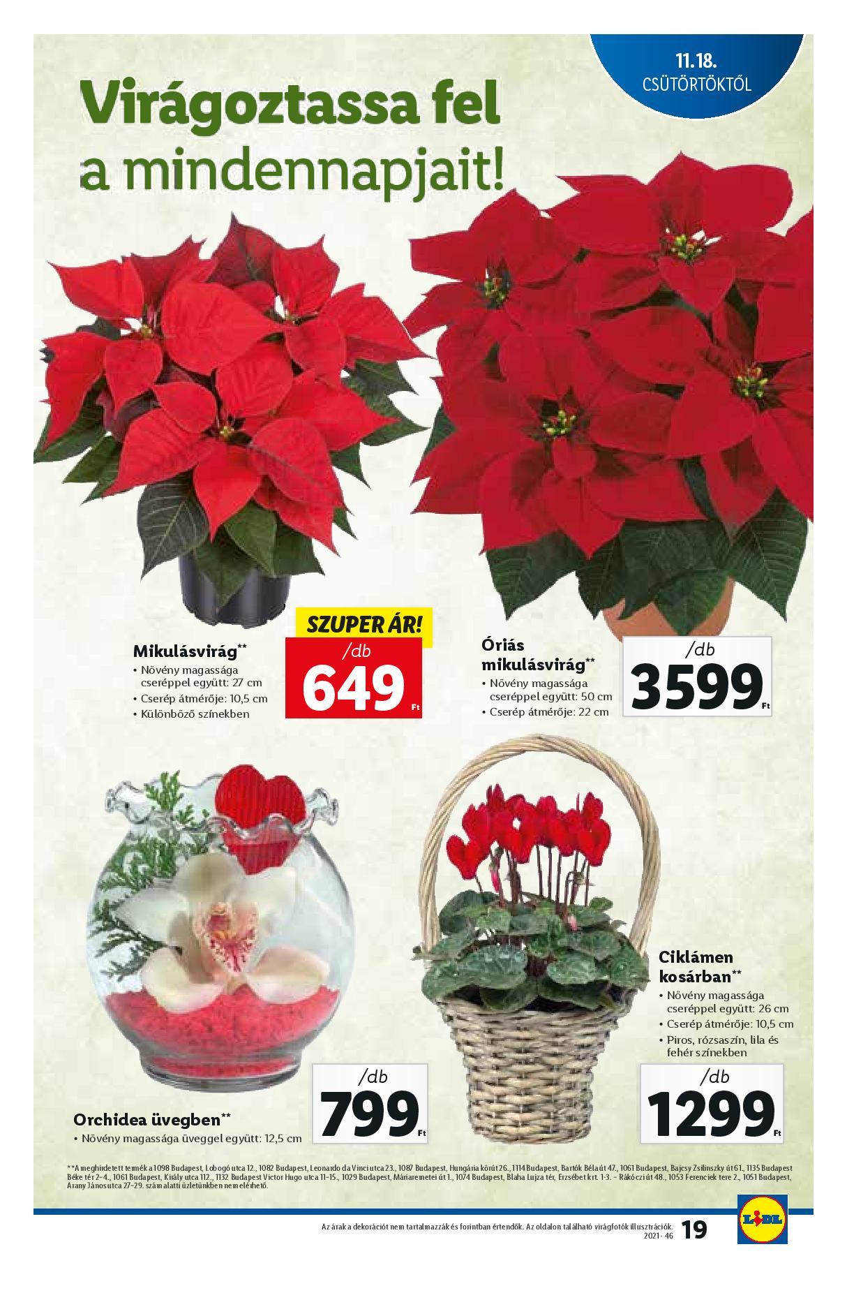 lidl1118-24-page-019