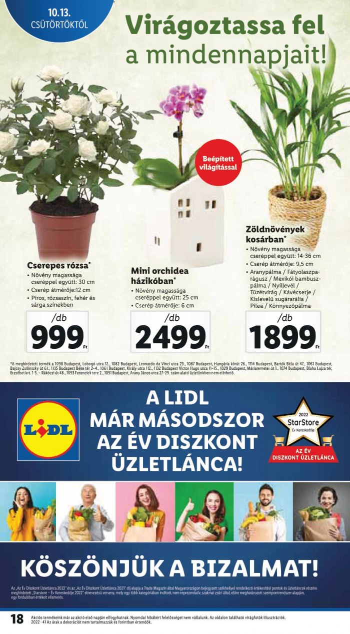 lidl1013-19-18
