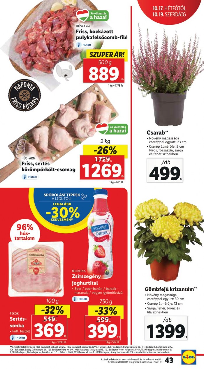 lidl1013-19-43