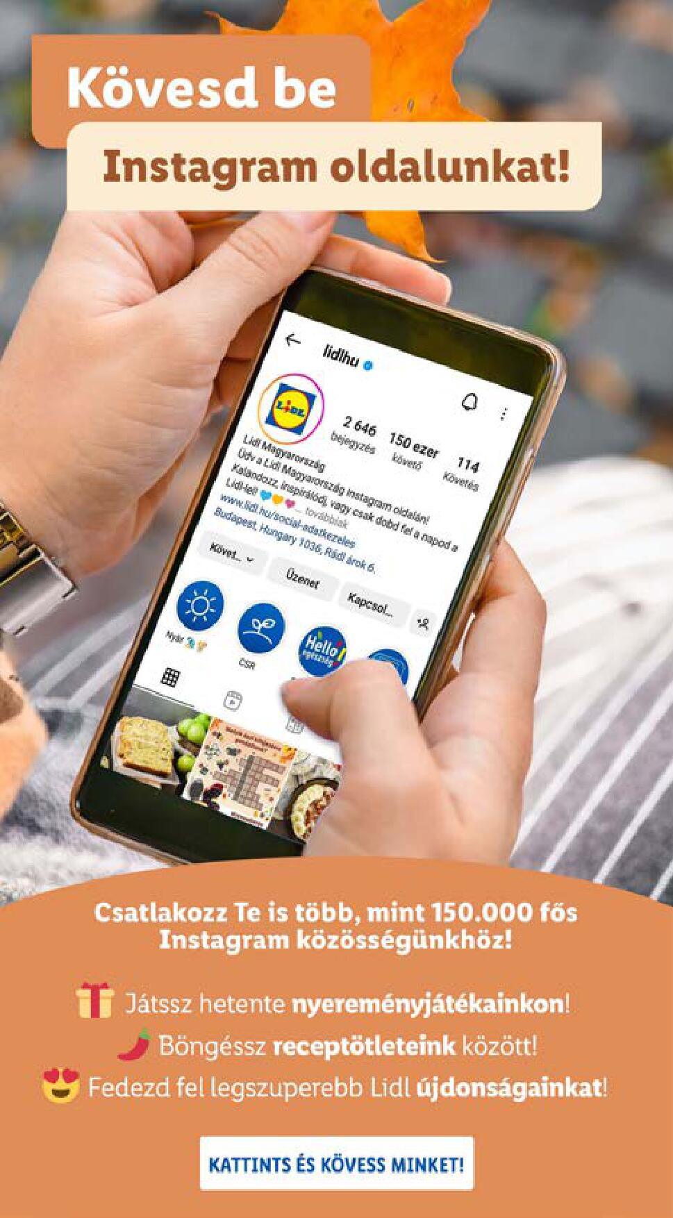 lidl11031109-49