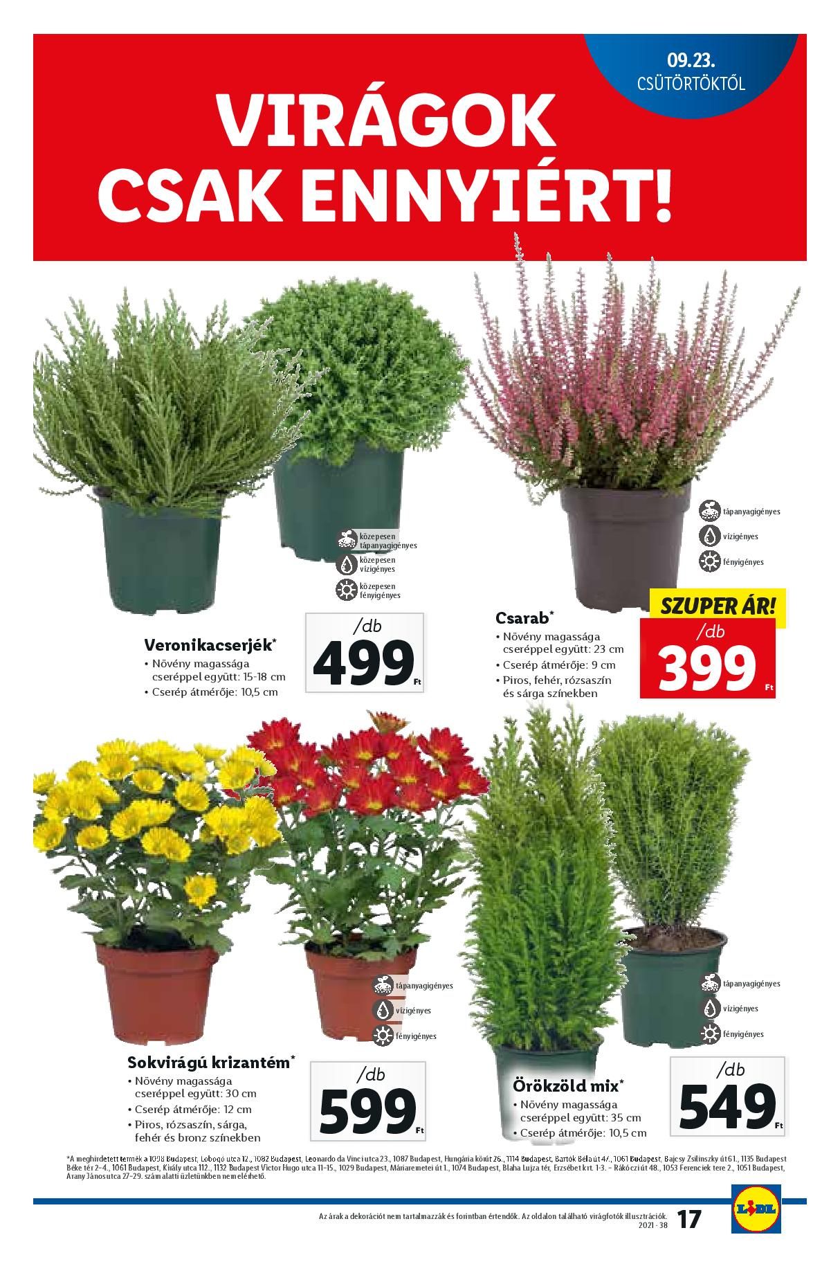 lidl19-23-page-017
