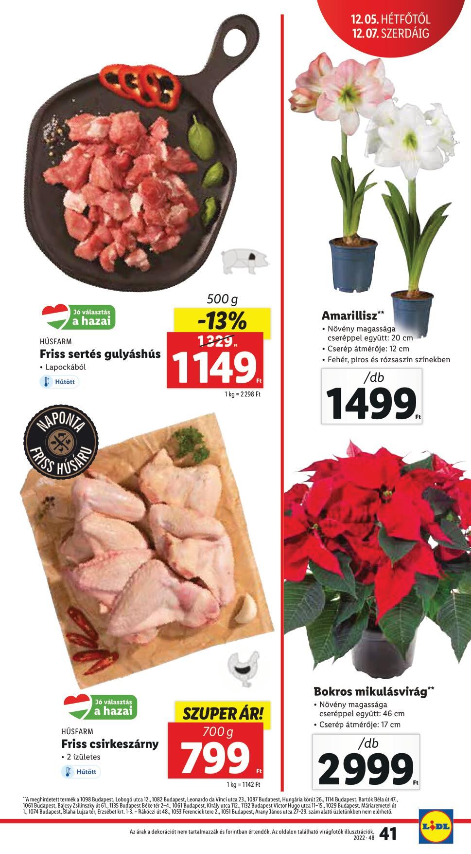 lidl120107-41