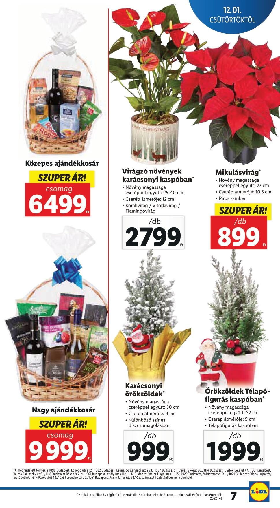 lidl120107-7