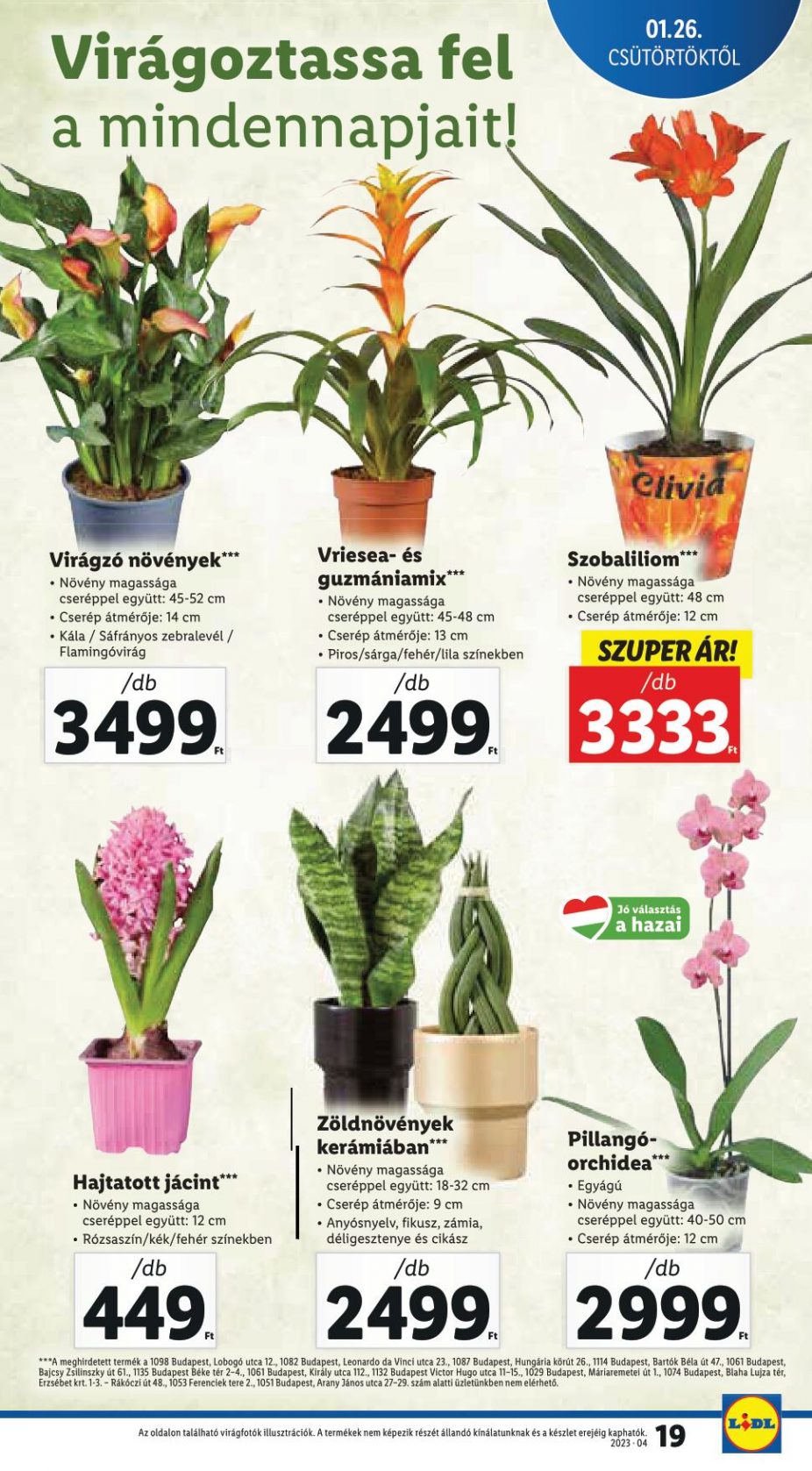 lidl2601-19