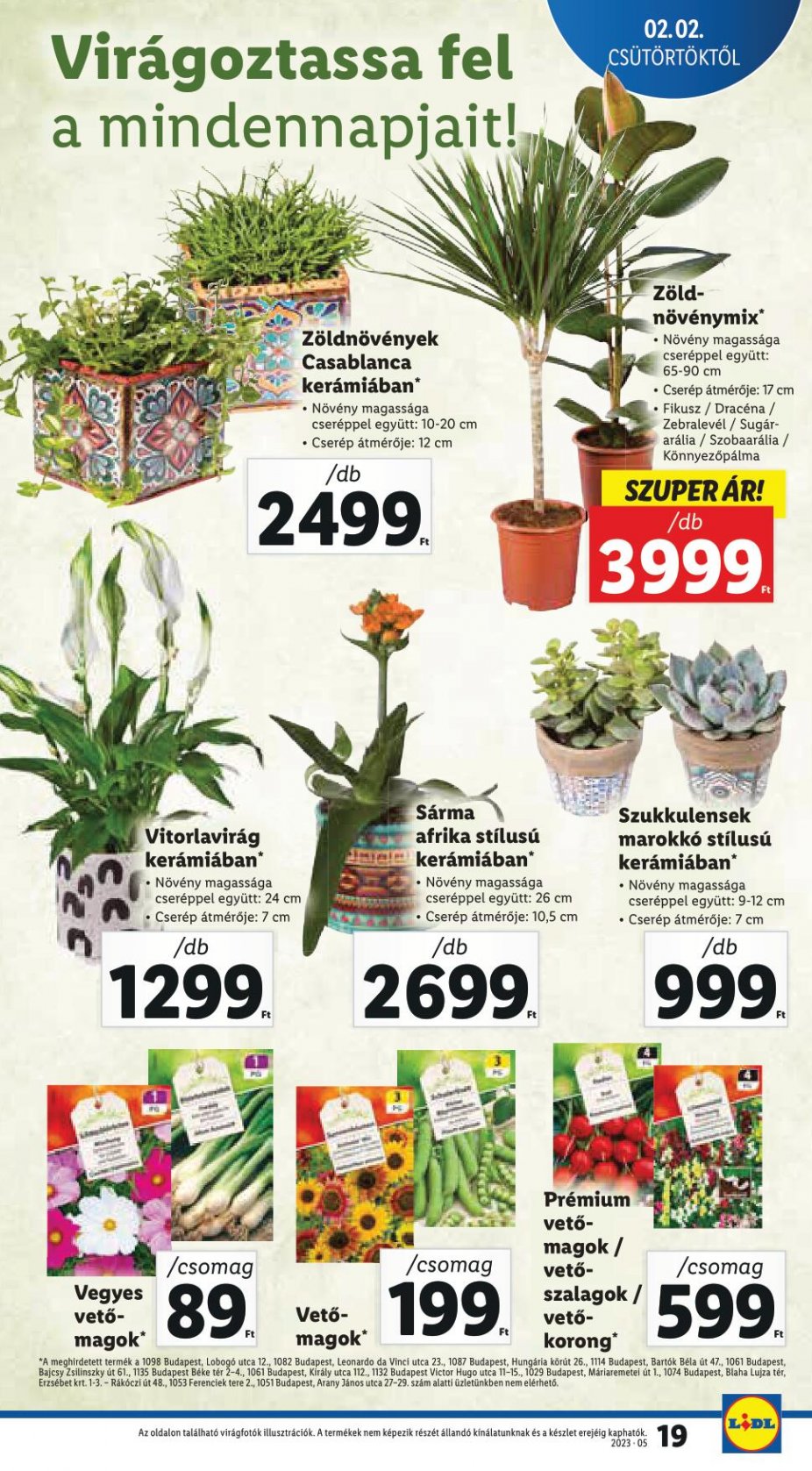 lidl0208-19