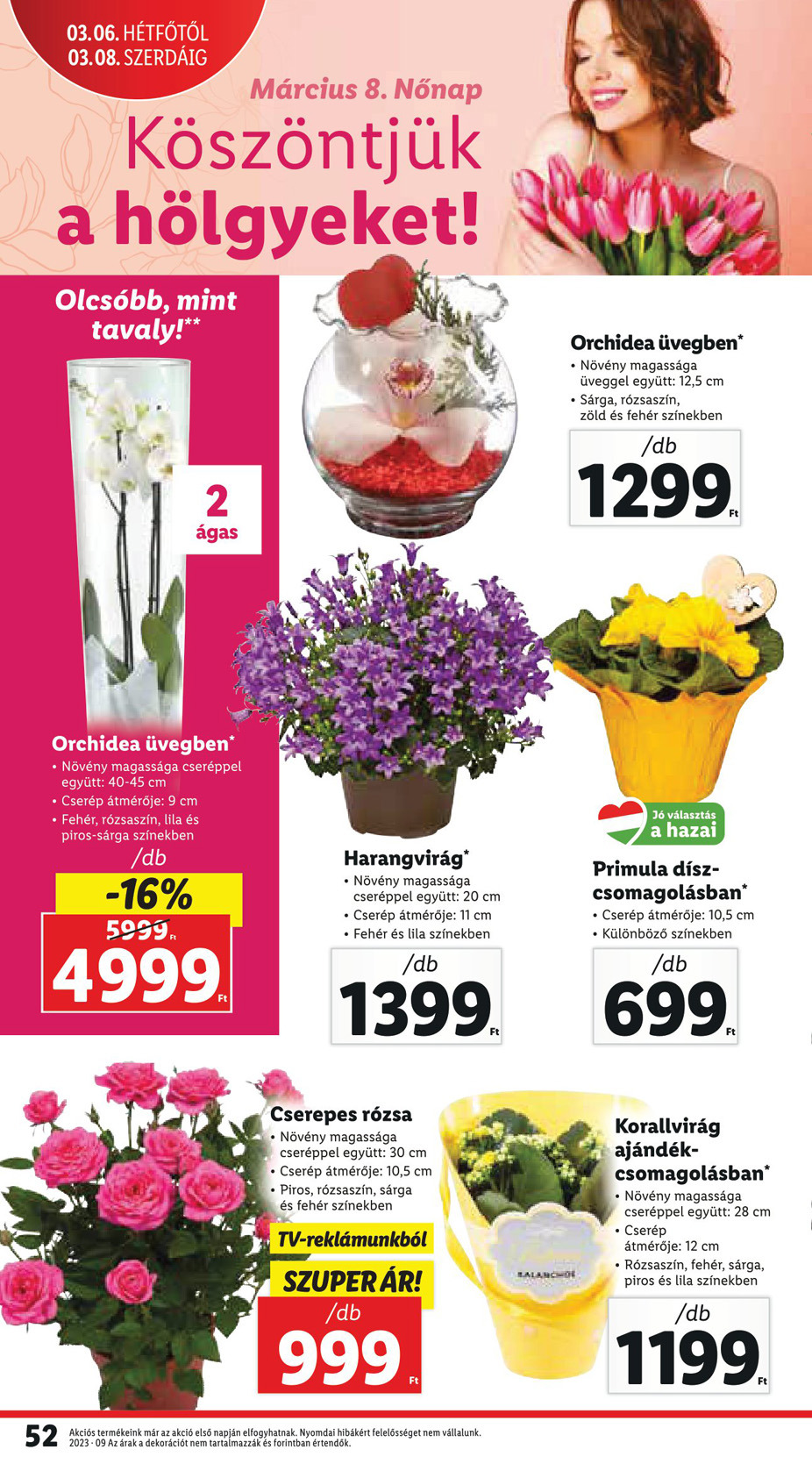 lidl030208-52