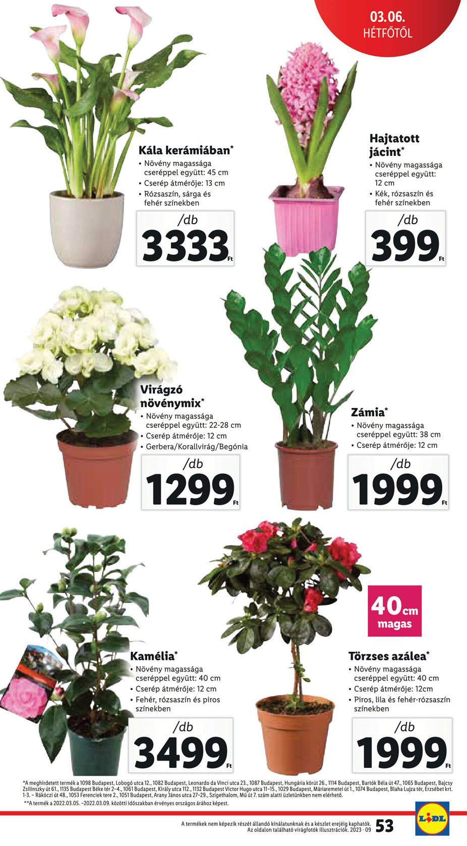 lidl030208-53