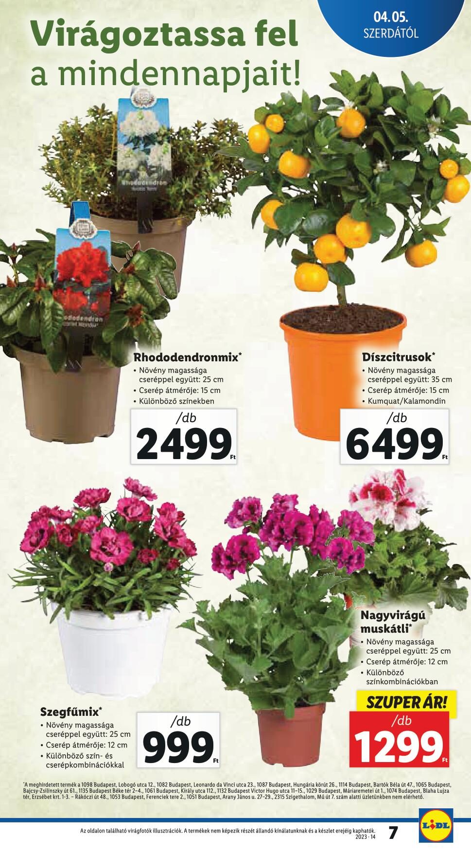 lidl0405-7