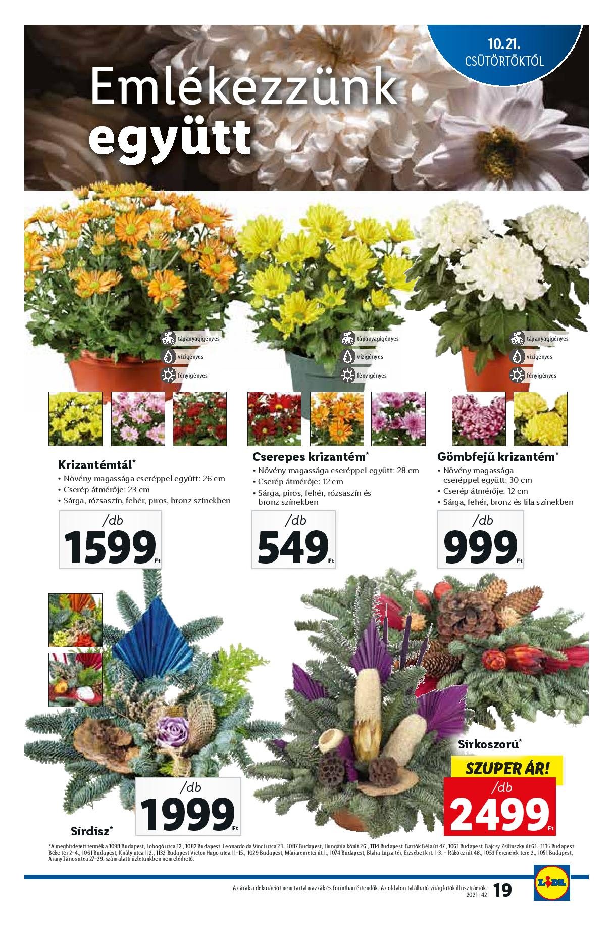 lidl1021-1027-page-019