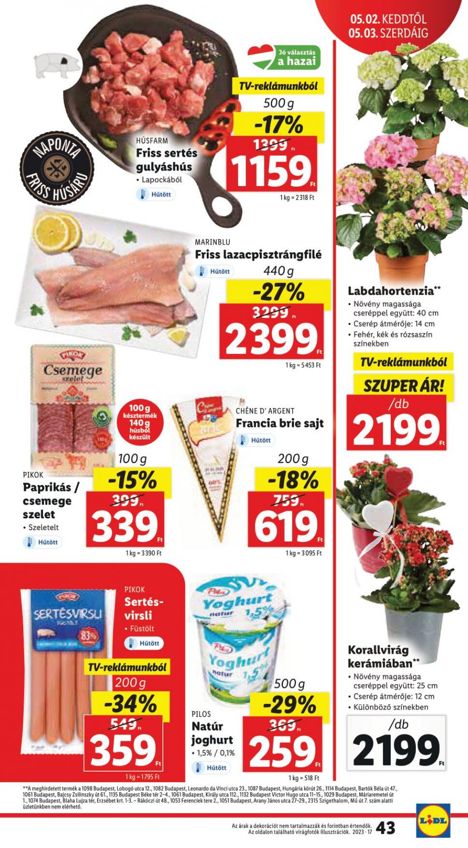 lidl2703-43
