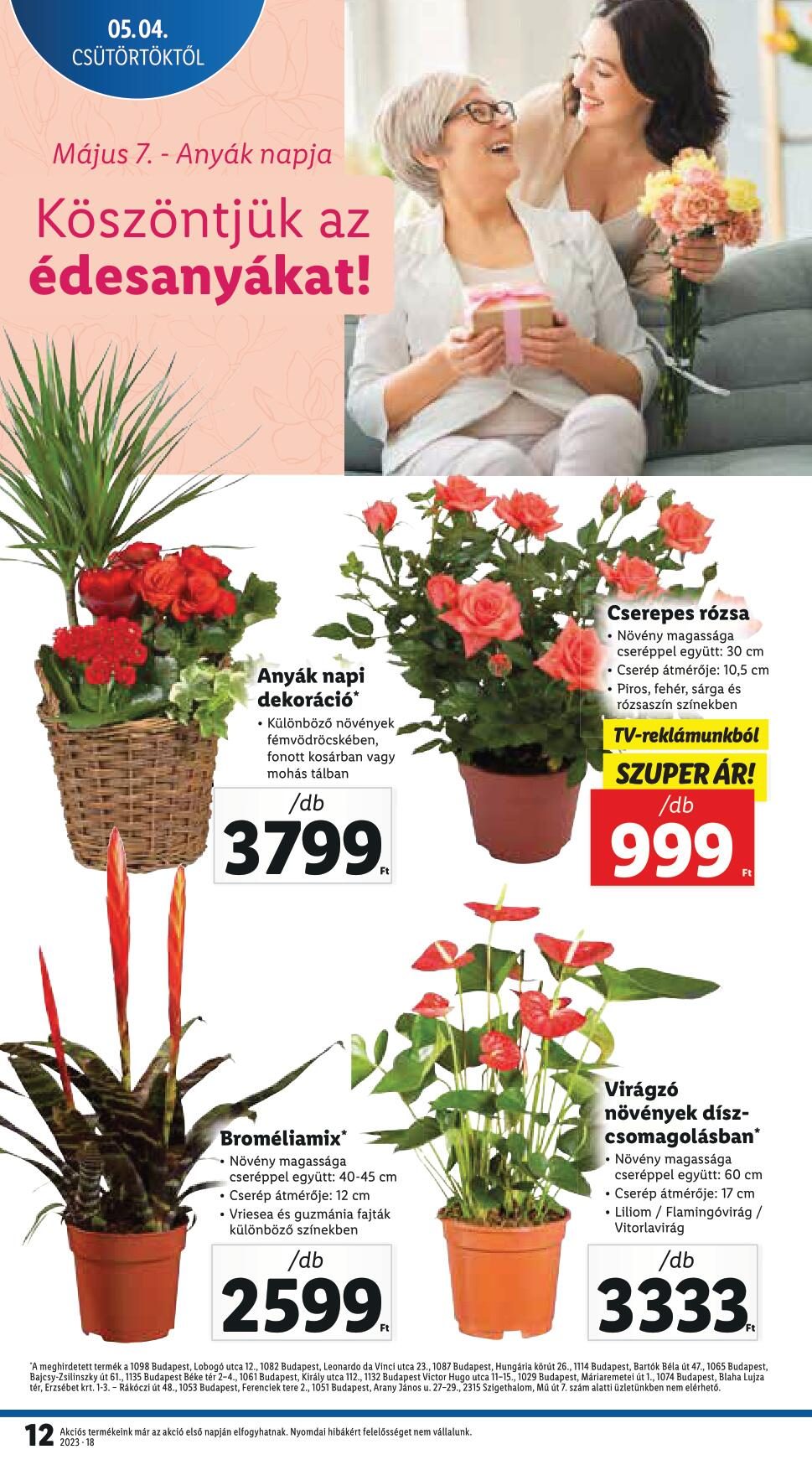 lidl050410-12