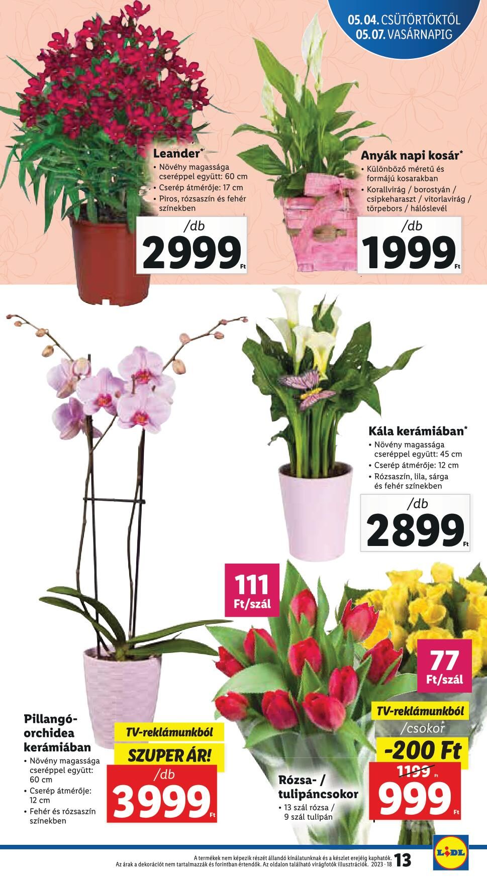 lidl050410-13