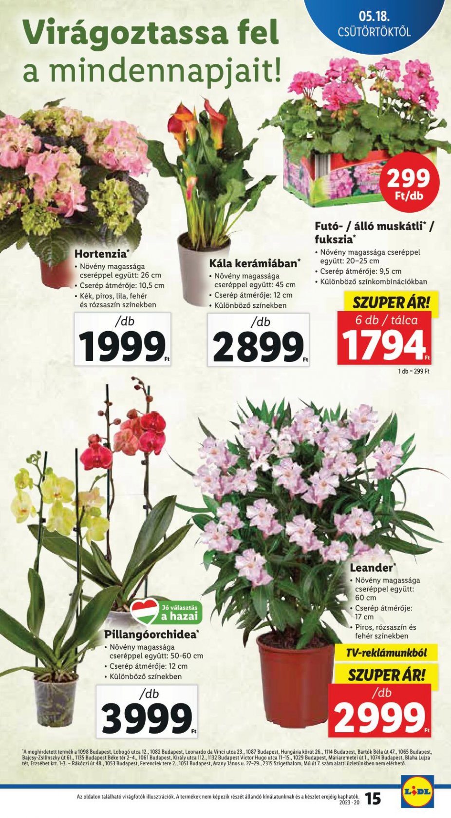 Akcios-ujsag-20-het-Ervenyes-05-18-tol-01-15