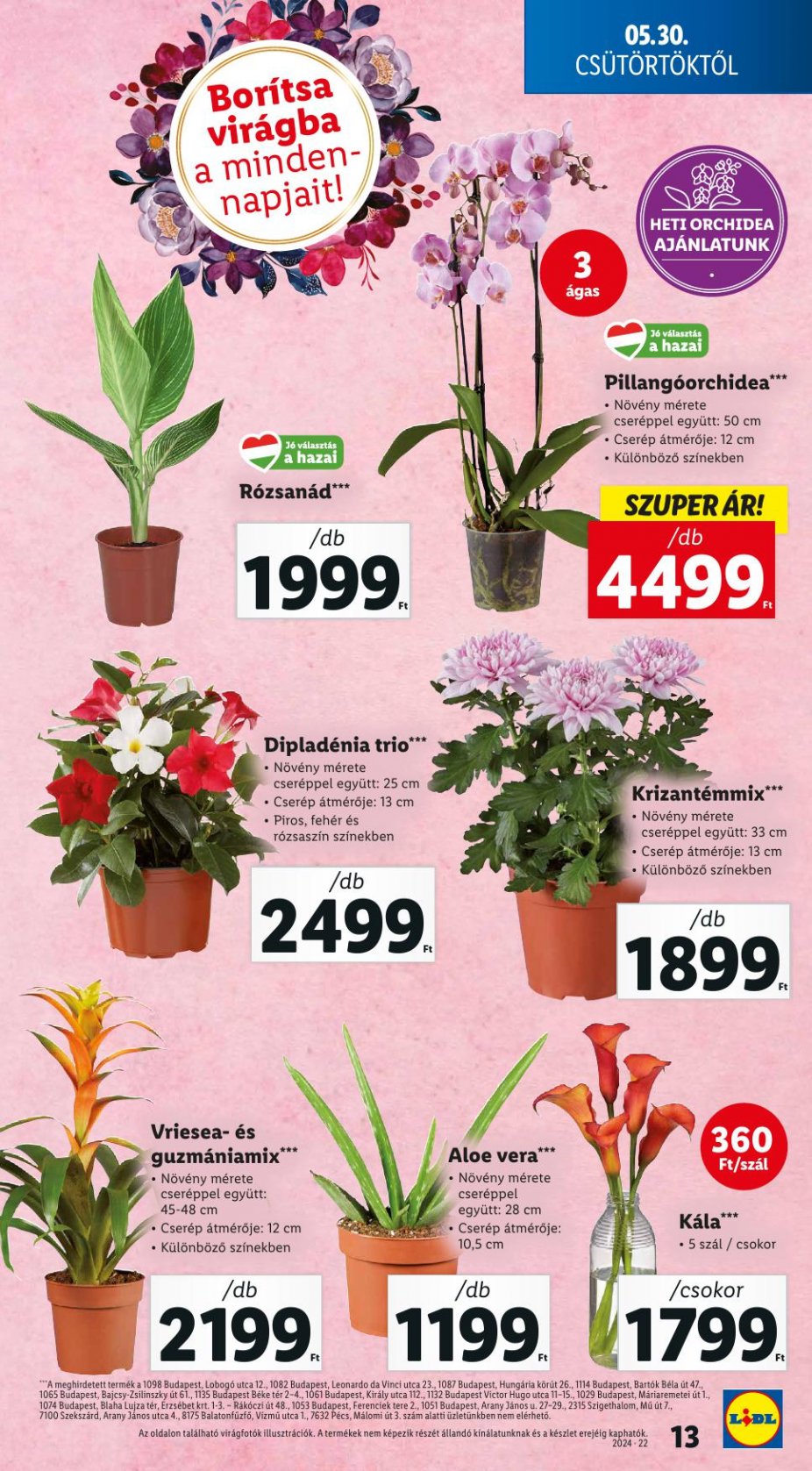 lidl22-13