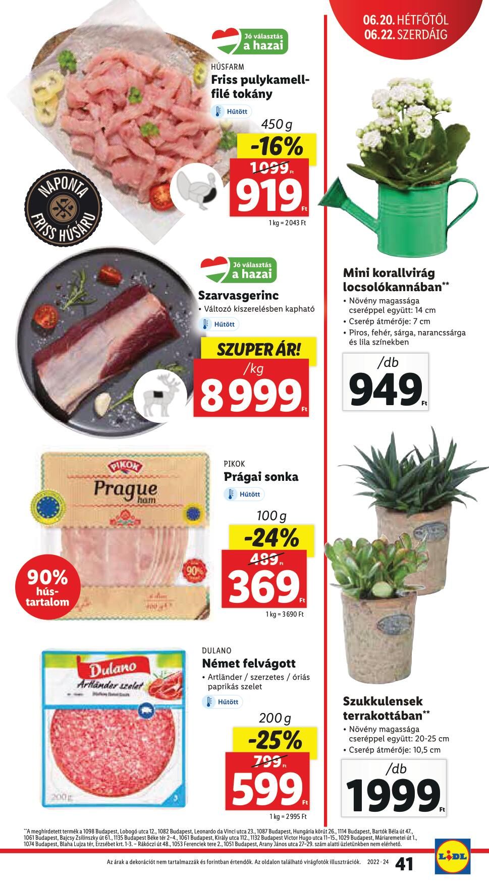 lidli0616-22-41