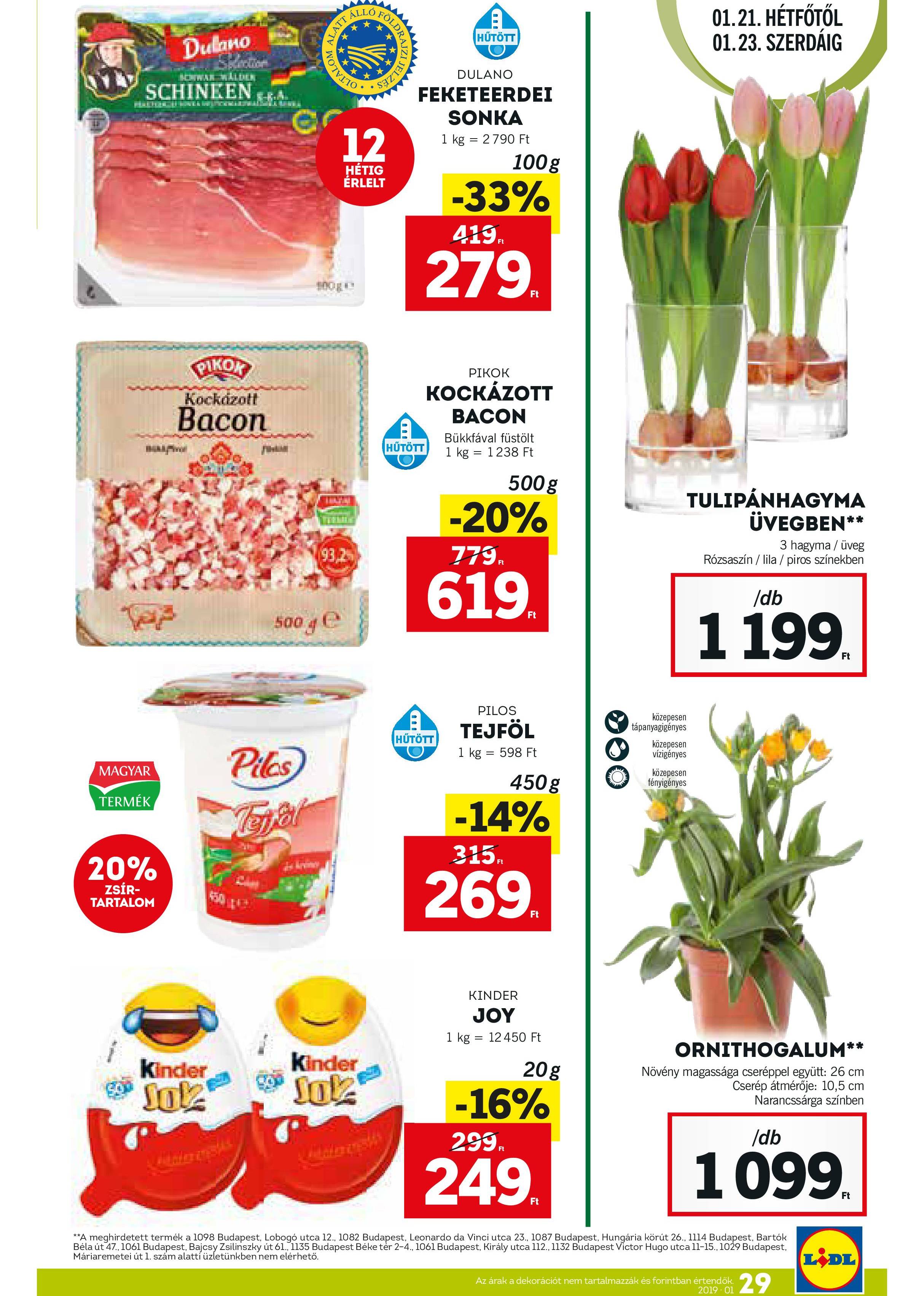 Lidljan17-29