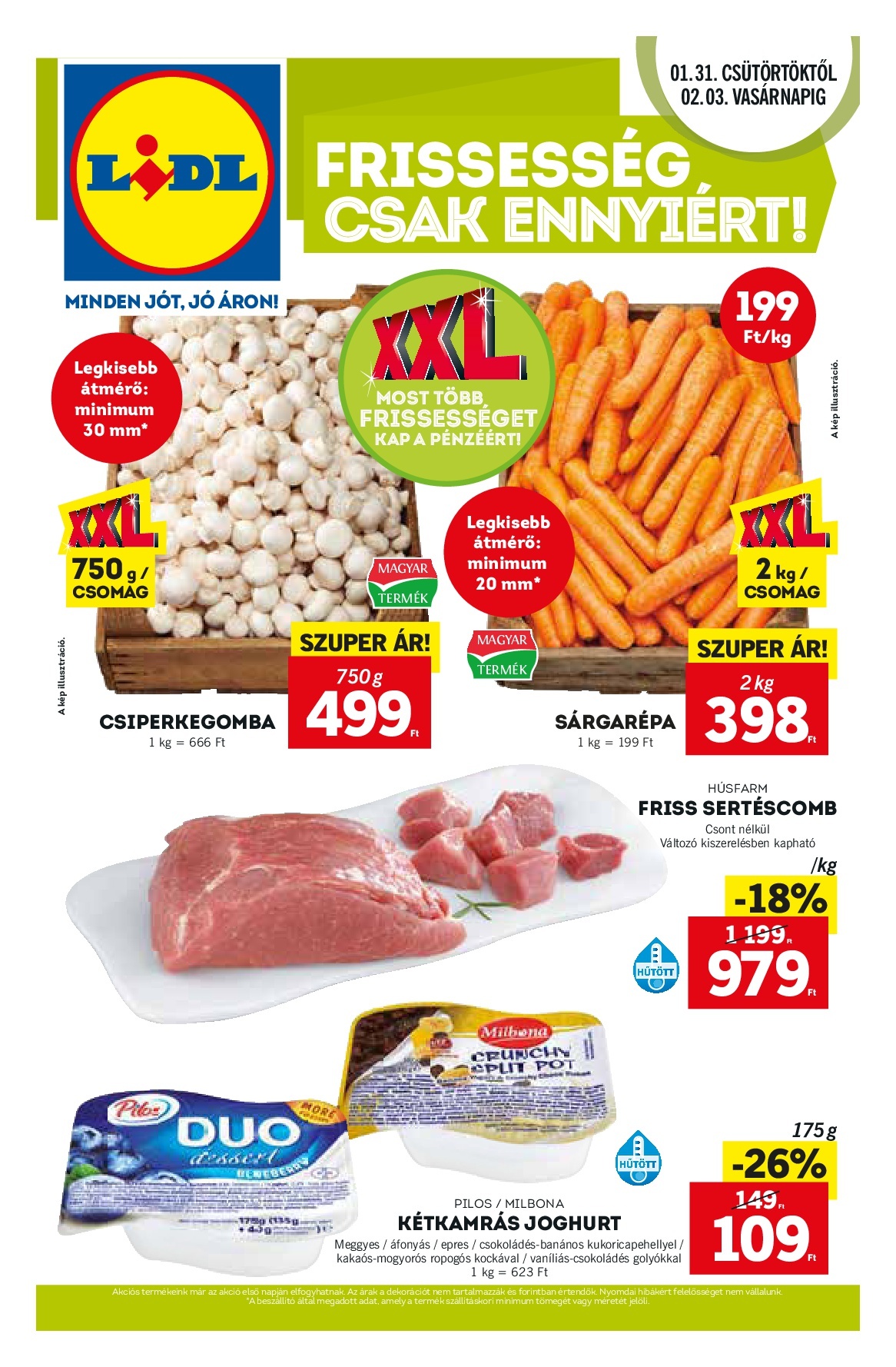 lidljan31-001