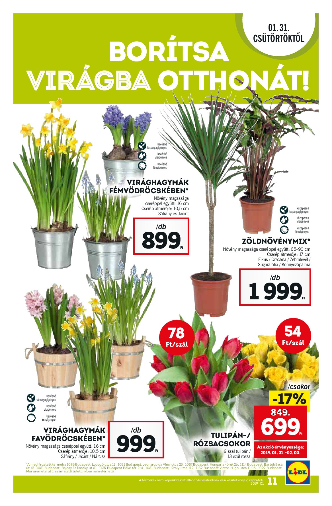 lidljan31-011