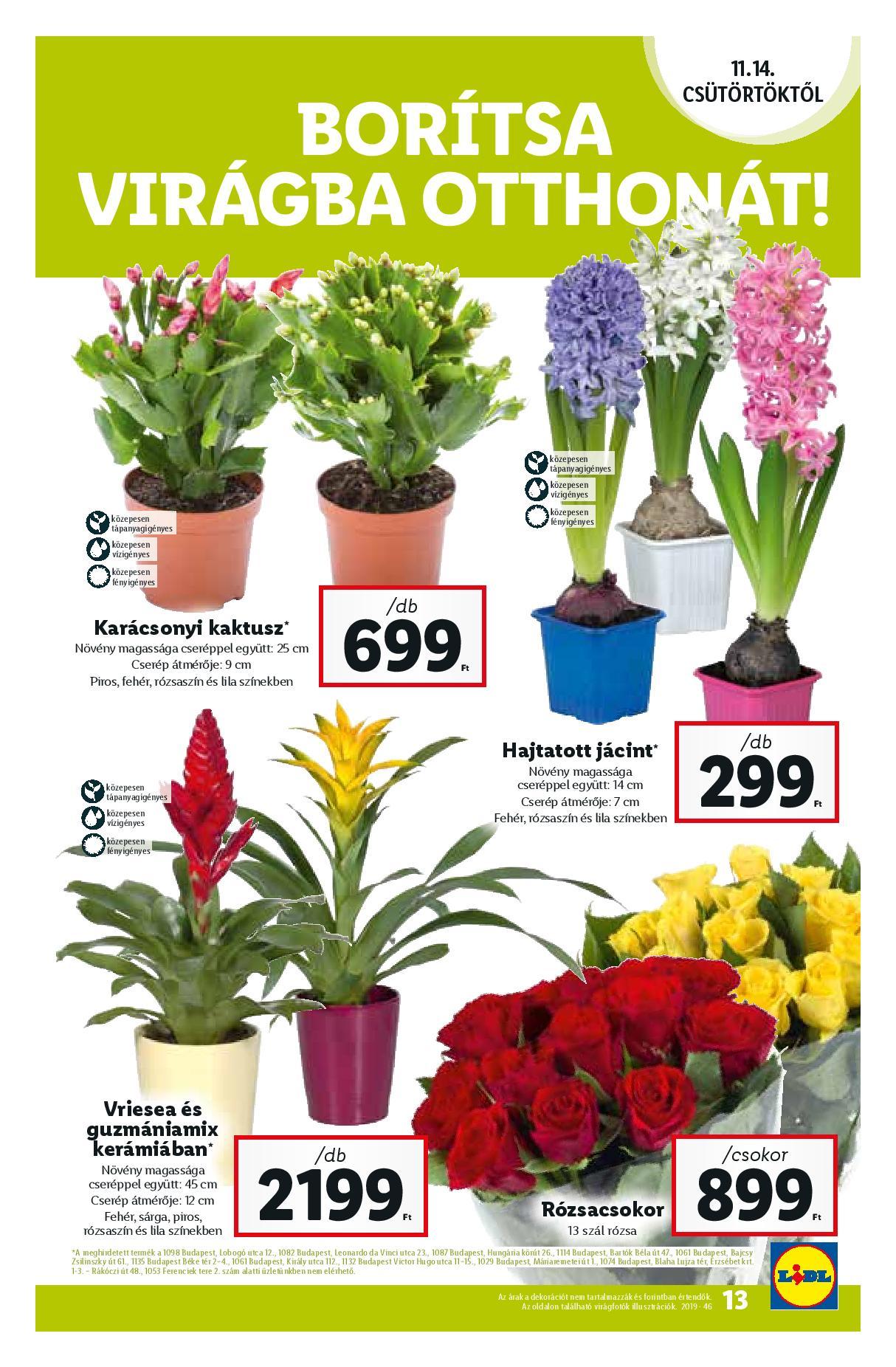 lidl15-page-013
