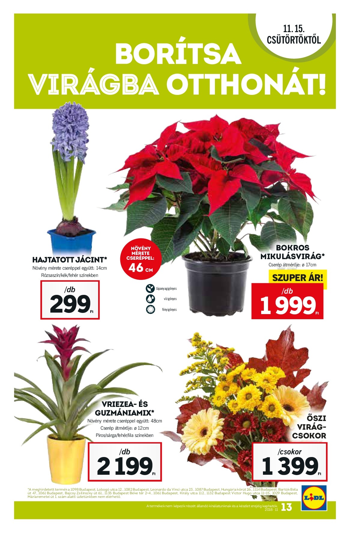 Lidlnov15-013