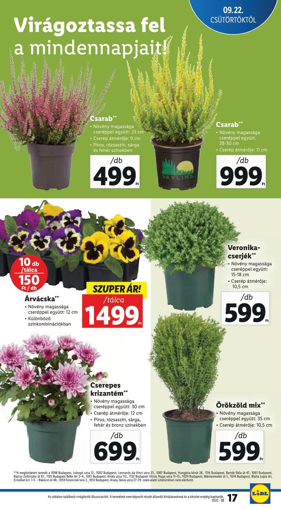 lidlszept22-28-17