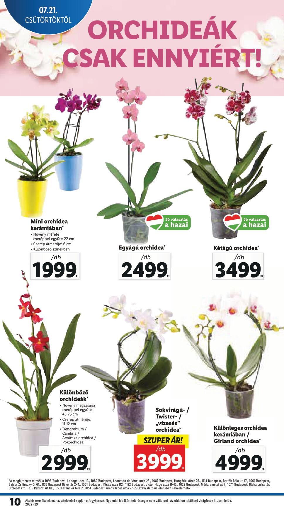 lidl21-10