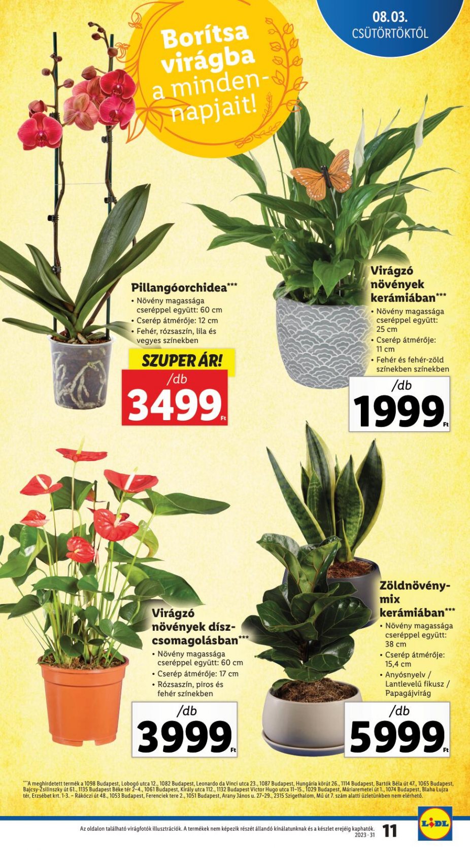 lidl3-9-11