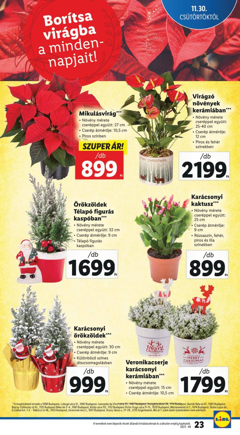 lidl1130-1206-23
