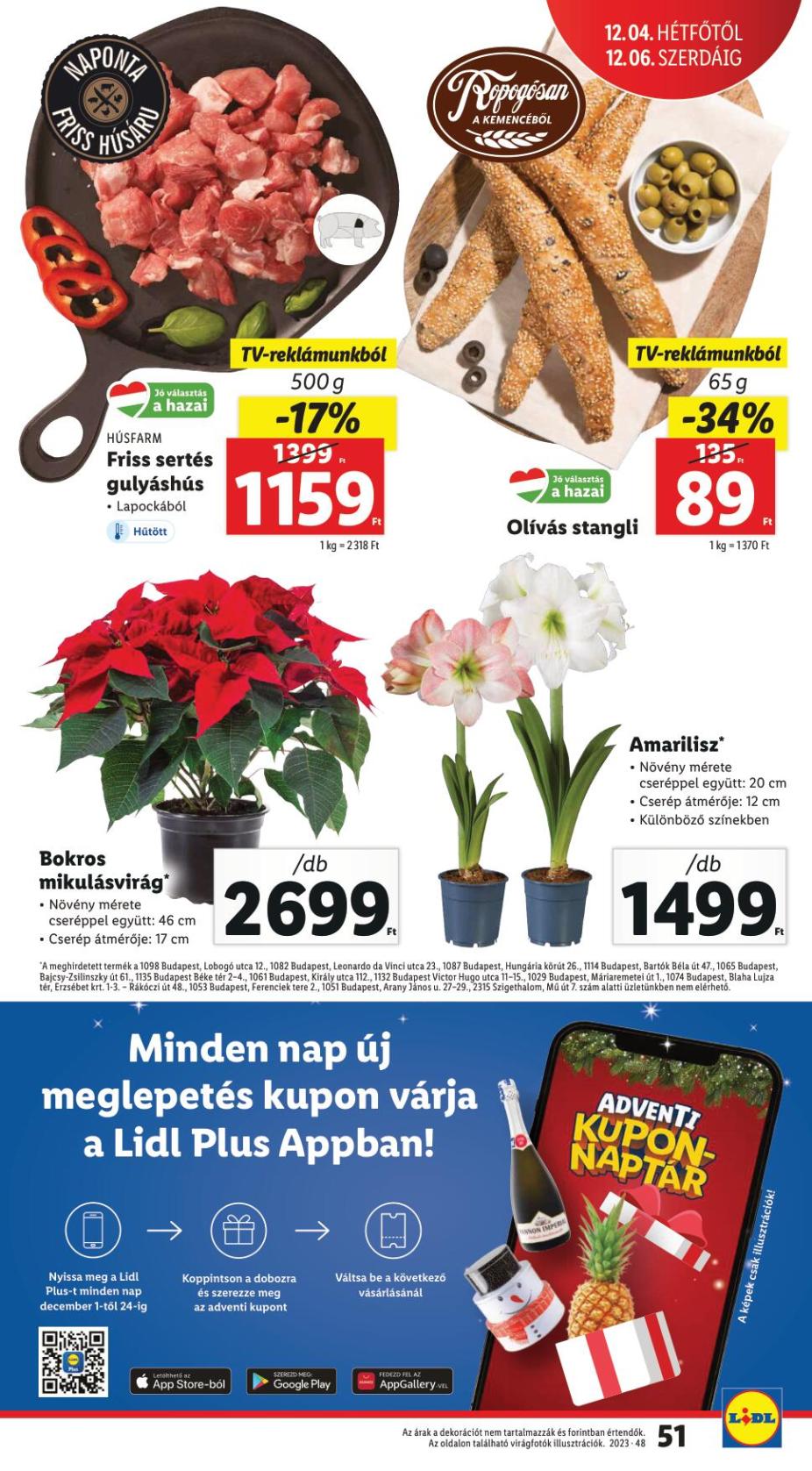 lidl1130-1206-51