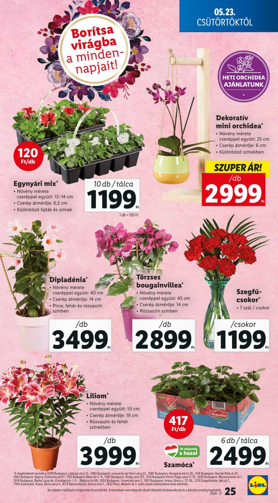 lidl21-25