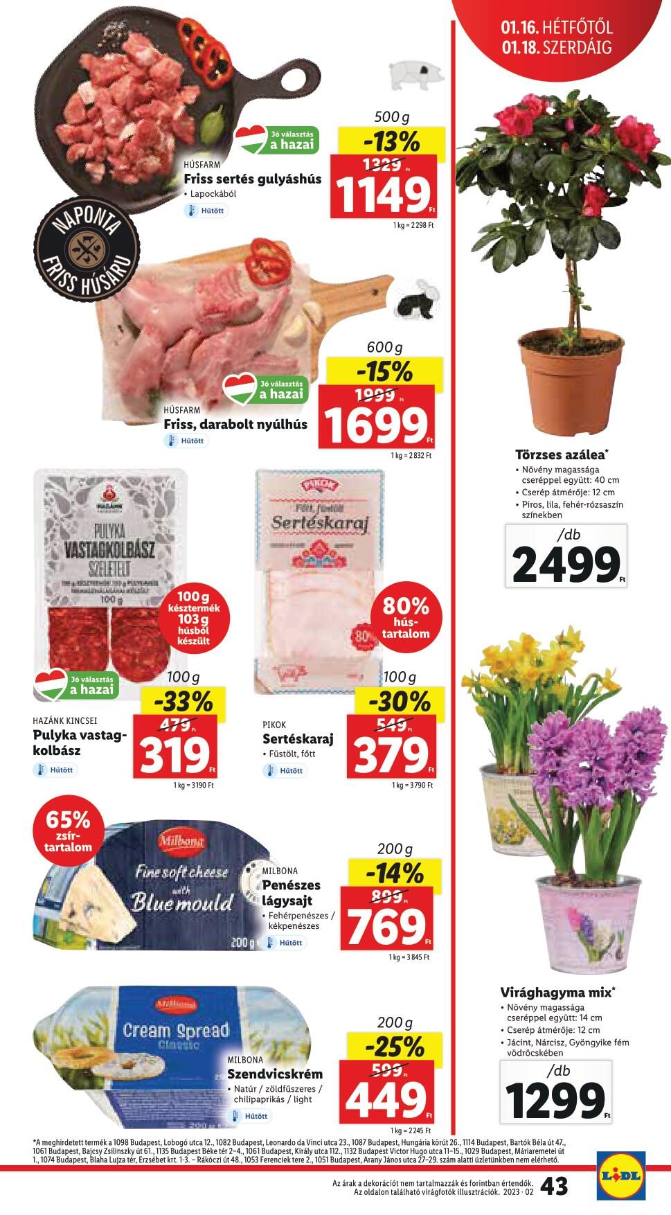 lidl0112-43