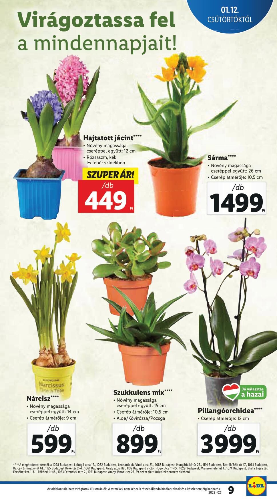 lidl0112-9