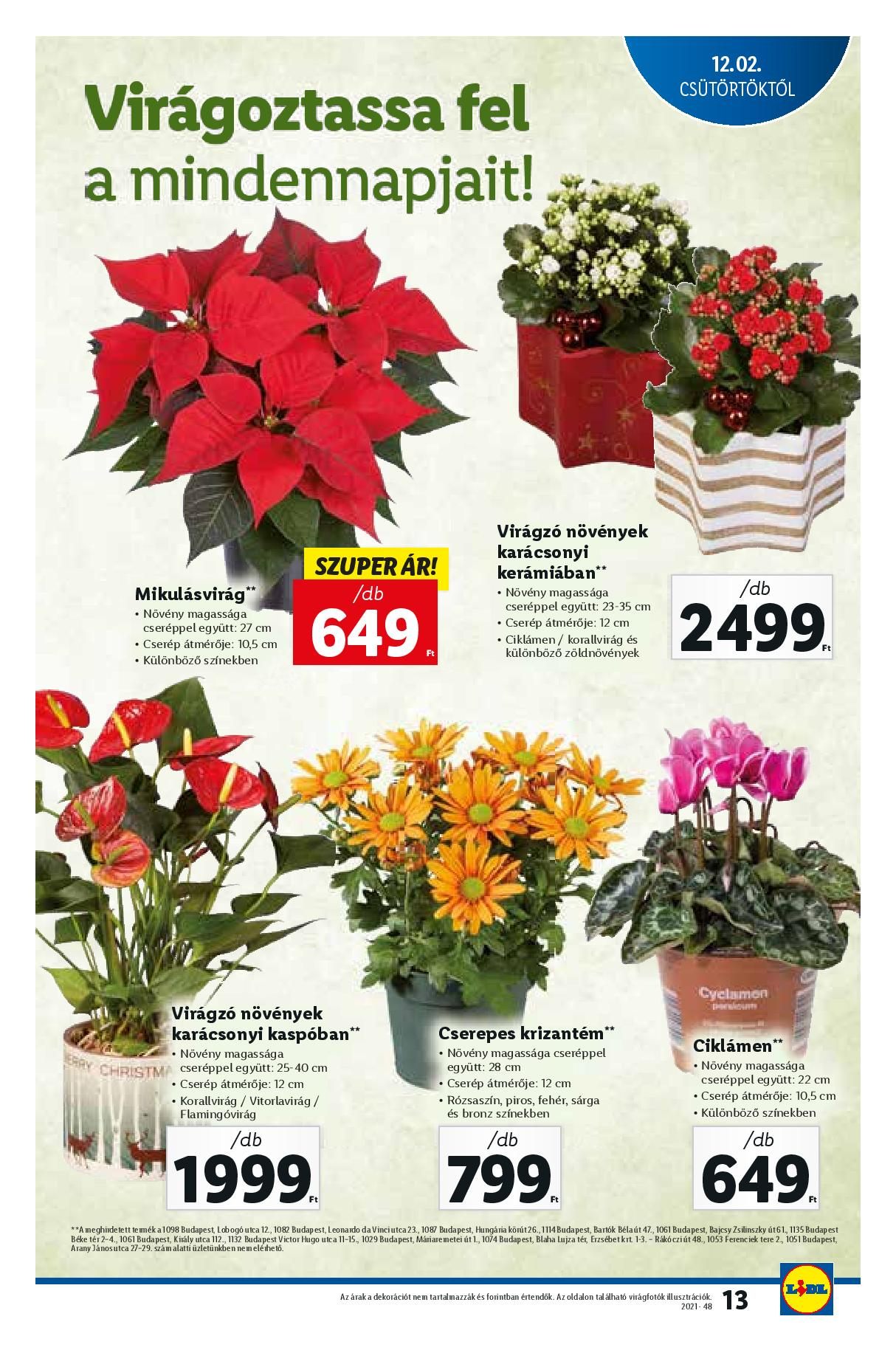 Lidl1202-1208-page-013
