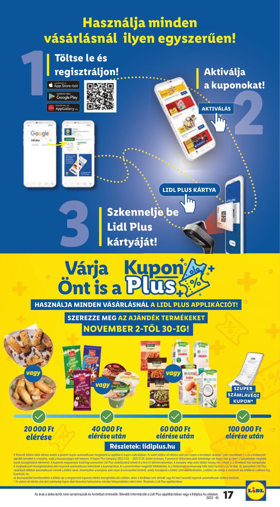 11101116lidl-17