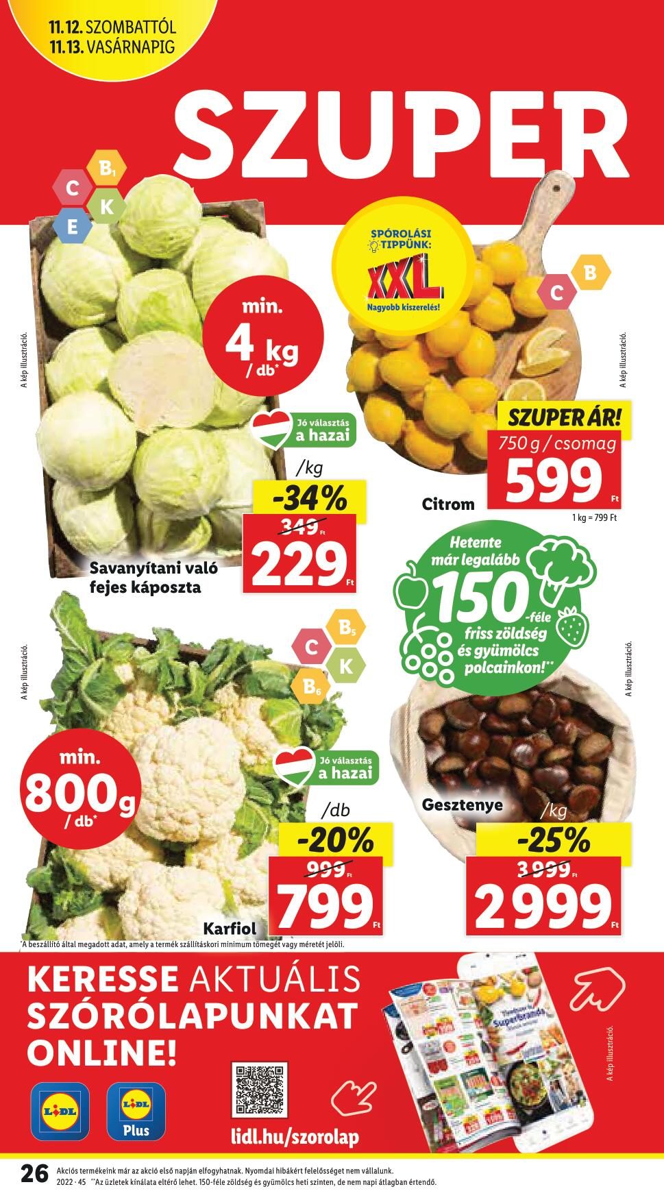 11101116lidl-26