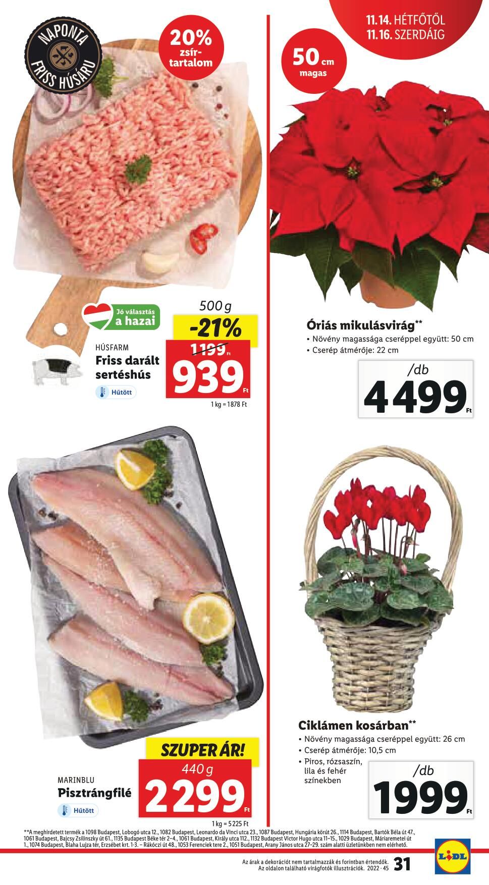 11101116lidl-31