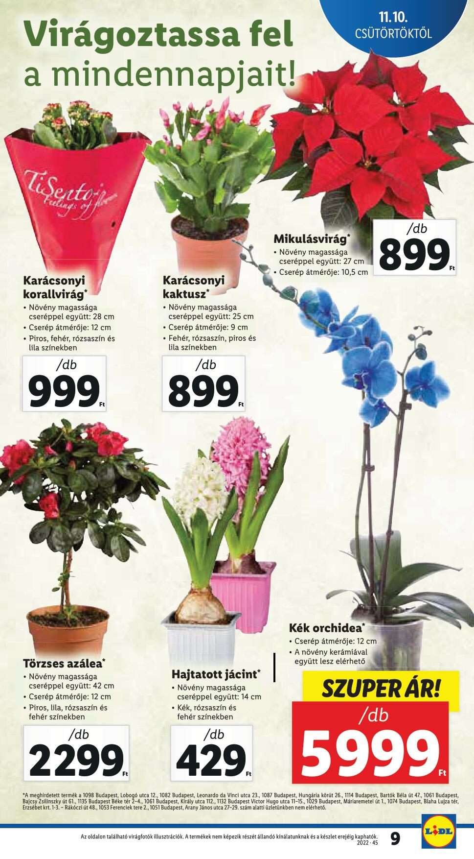 11101116lidl-9