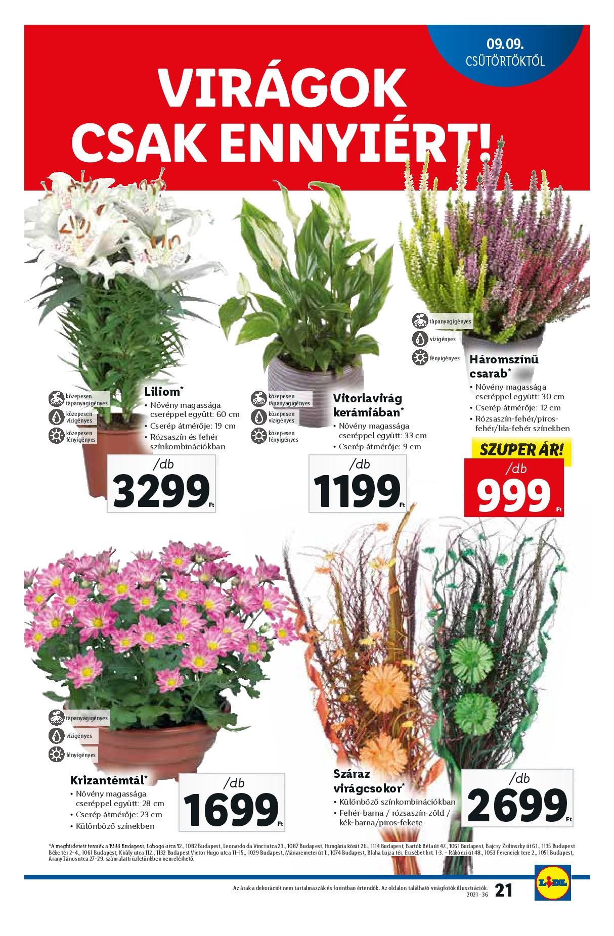 lidl0909-15-page-021