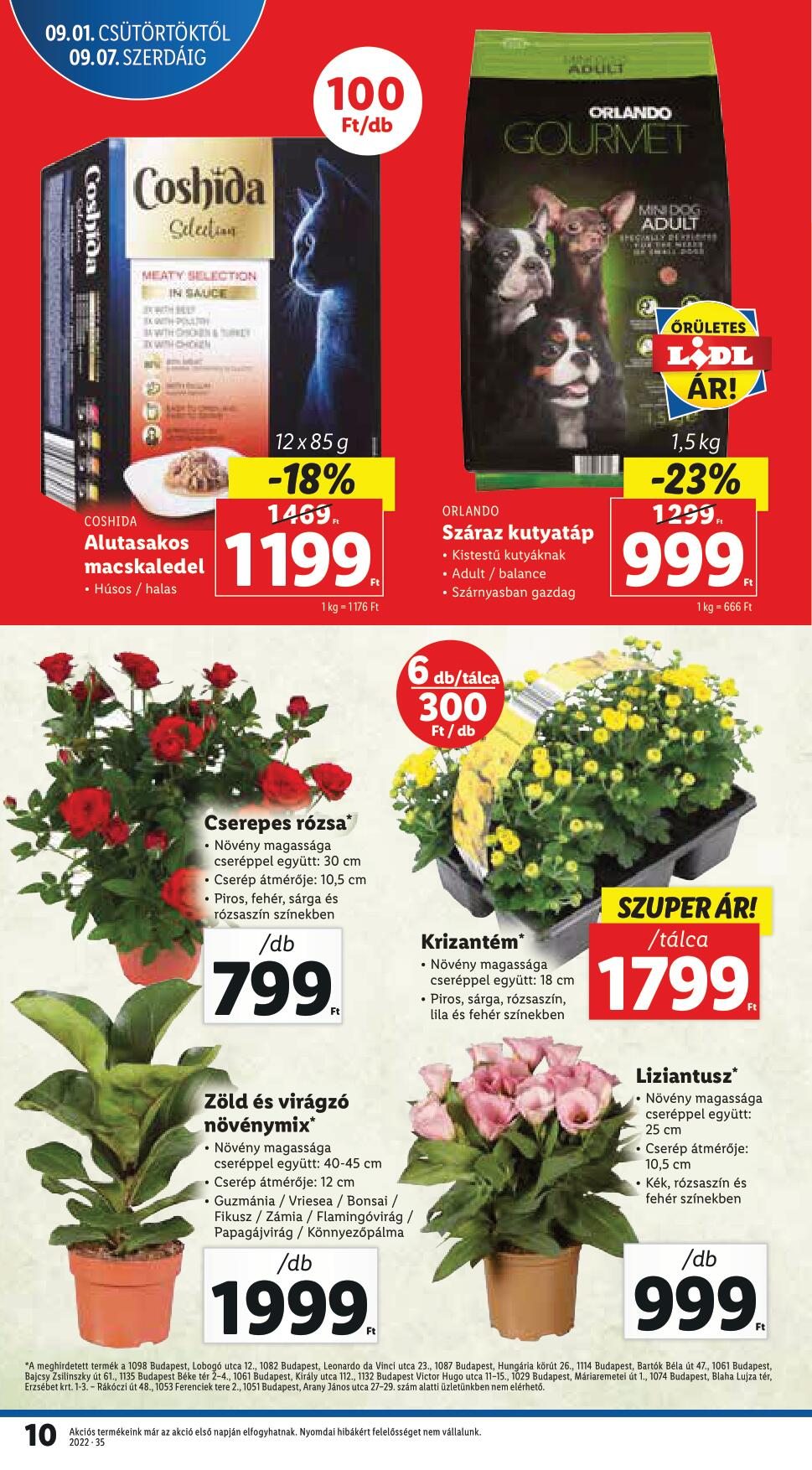 lidlszept1-7-10