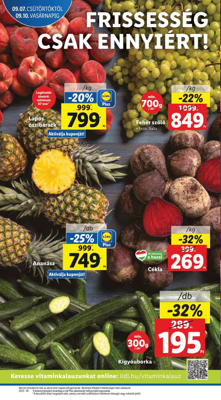 lidl0907-14