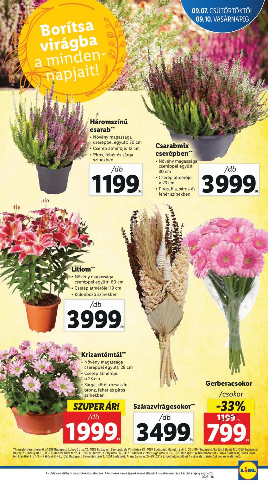 lidl0907-25