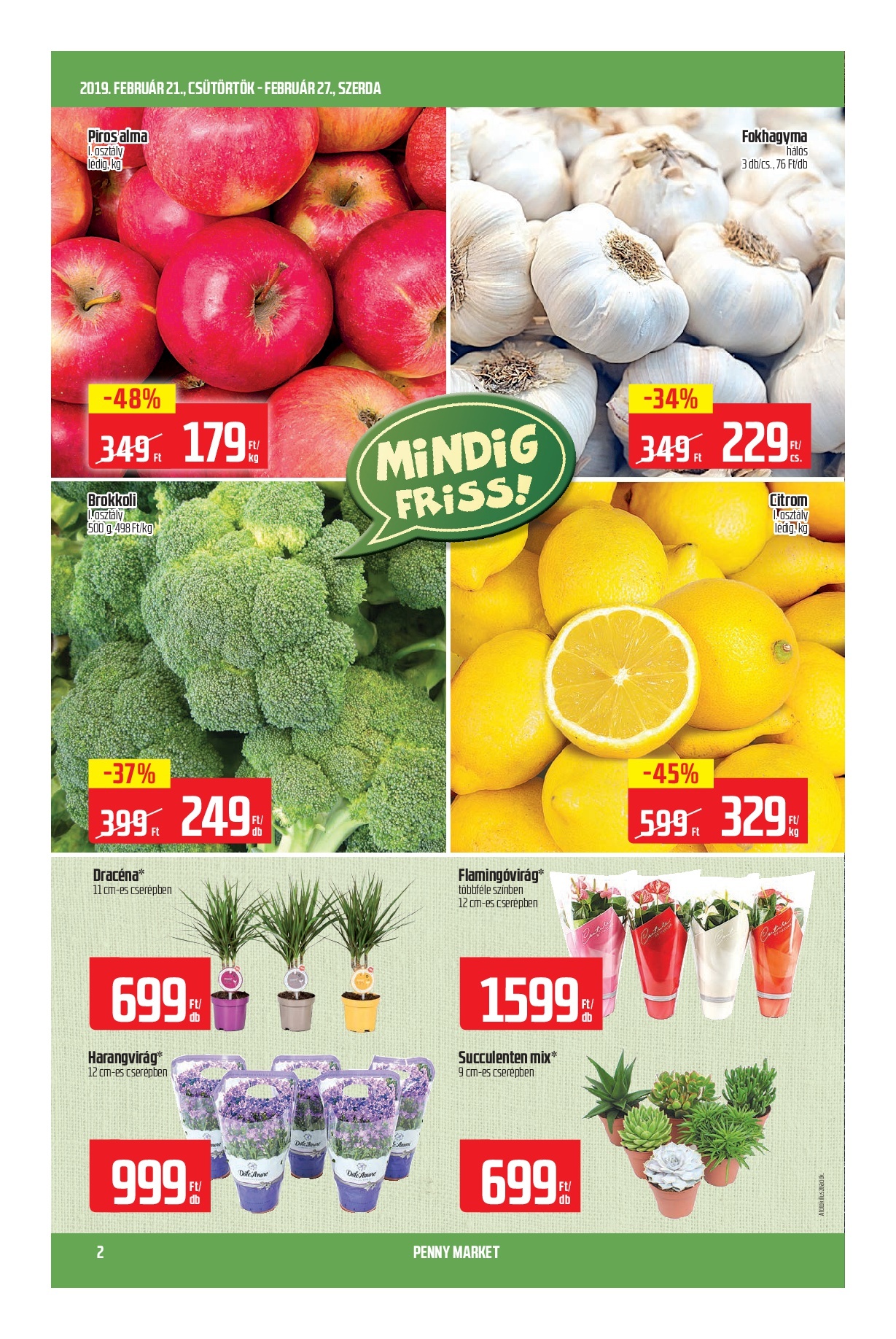 penny_market_heti_ujsag0221-002