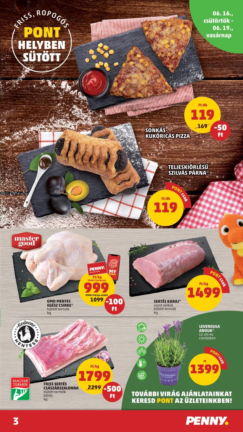 PENNY0616-22-3
