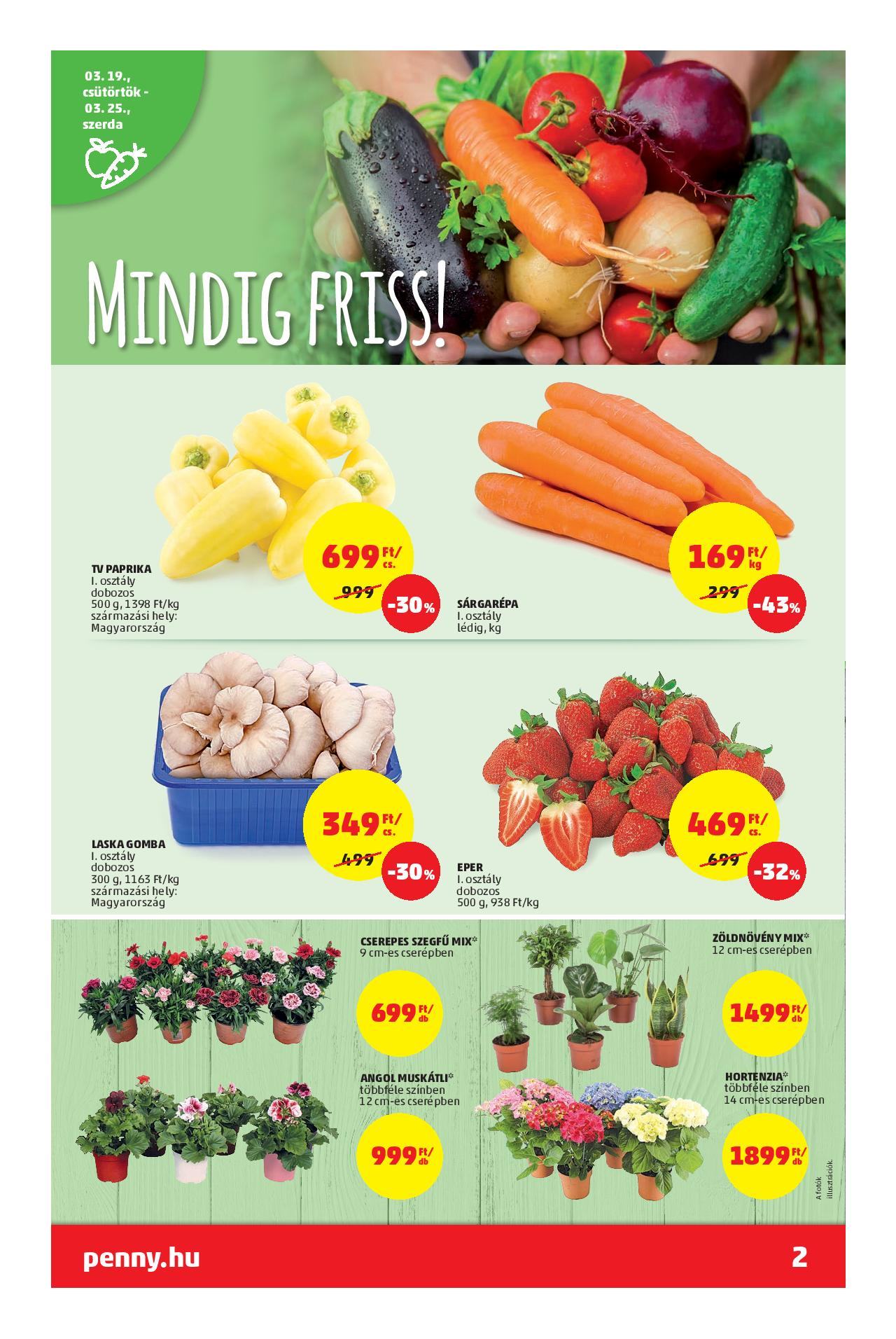 penny_market_heti_ujsag-page-002