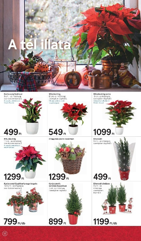 hipermarket_2018-11-29-012